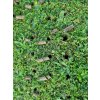 Prevzdušňovač Strend Pro Garden, rúrkový, 4 hrotý, 30x102 cm