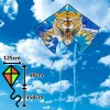 D&P Šarkan Kráľ Džungle