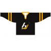 Hejduk Dres hokejbal sublimace