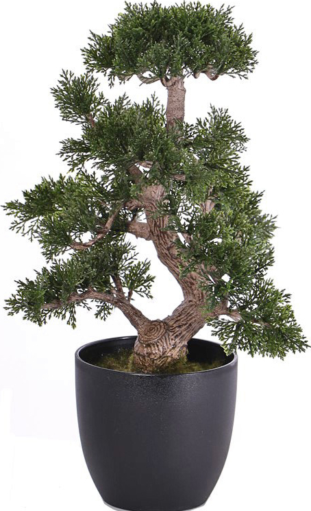 Umelý Bonsai céderv kvetináči, 36cm