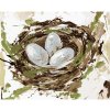 Diamondi Diamantové maľovanie - HNIEZDO S VAJCIAMI (HALEY BUSH) Rámovanie: vypnuté plátno na rám, Rozmer: 40x50 cm
