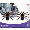 Tarantula 10cm 2ks