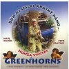 Vyčítal Honza & Greenhorns: Bůh mi seslal krásný ráno... - CD