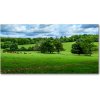 Foto obraz sklo tvrzené zelené pahorky 100x50 cm