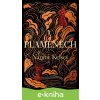 E-kniha V plamenech - Naomi Kelsey