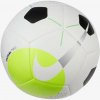 Nike PRO TEAM