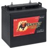 Trakčná batéria Banner DC875 8V 170Ah (T 875)