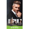 E-kniha Impulz - Michaela Zamari