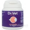 Dr. Vet Lacrimalis+ výživa očí pre psy a mačky 30tbl
