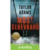 Most sebevrahů - Taylor Adams