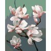 Zuty – Maľovanie Podľa Čísel – Magnólia (Myroslava Voloschuk), 40 × 50 cm, Plátno + Rám 8596530224693