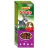 Avicentra Deluxe tyčinky s lesným ovocím pre malé hlodavce 2 x 60 g