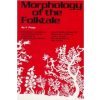 Morphology of the Folktale
