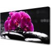 Obraz Canvas Kamene zen orchidea kúpele 100x50 cm