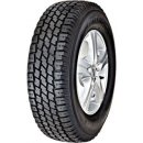 Novex Snow Speed 165/70 R14 89R