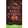 E-kniha V zajetí krále plamenů - Chloe Chastaine