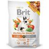 Brit ovocné pochúťky 0,1 kg králik