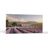 Destinácie Levanduľové polia Provence | Obrazy Vintessia Rozmery panoráma: 20x40
