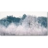 Foto obraz akrylové sklo Stromy zimou 100x50 cm