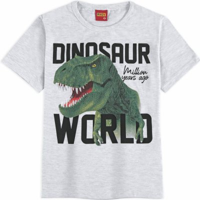 Chlapčenské tričko Kyly Dino World šedé