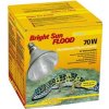 Lucky Reptile Bright Sun FLOOD Desert 70W