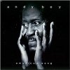 Andy Bey - American Song