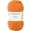 Priadza Bravo Schachenmayr 8360