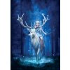 ART PUZZLE Puzzle Kolekce Anne Stokes: Kouzelný les 1000 dílků