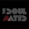Šustr Dan & Vintrová Zuzana - Soulmates Tribute Project / Vinyl [LP]