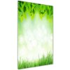 Vertikálny foto obraz akryl do obývačky Lístia a tráva 50x100 cm