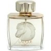 Lalique Pour Homme Equus, Parfémovaná voda 75ml pre mužov