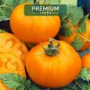 Semená paradajok Premium Seeds Zlatý Ożarowski 0,50 g