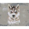 ZUTY Maľovanie podľa čísel HUSKY NA SIVOM POZADÍ Rámovanie bez rámu a bez vypnutia plátna Rozmer 80 x 100 cm