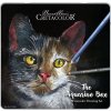 CRETACOLOR The Aquarino Box