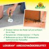 Neudorff Loxiran Mravenčí bufet 2 dózy
