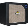 MOOER Hornet 30i