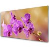 Sklenený obklad Do kuchyne Orchidea výhonky kvety príroda 100x50 cm