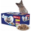 Prevital Mega Box Veal salmon liver chicken 40 x 100 g