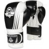 DBX Bushido Boxerské rukavice DBX BUSHIDO B-2v3A Veľkosť: 14oz