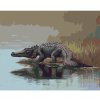 Diamondi Diamantové maľovanie - ALIGÁTOR IDÚCI DO VODY (D. RUSTY RUST) Rámovanie: vypnuté plátno na rám, Rozmer: 40x50 cm