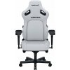 Anda Seat Kaiser 4 Premium Gaming Chair – XL size White