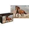 INTERDRUK Puzzle Wild Horses 2: Hnedý divoký kôň 1000 dielikov