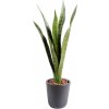Umelá kvetina Sansevieria deluxe v kvetináči, zelená 60cm