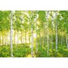 Komar Vliesová fototapeta Sunday 368 x 248 cm