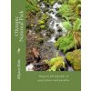 Olympic National Park: Magical photographs of quiet places and paradise (Allyson K Kitts,Gordon Hempton)(Brožovaná)
