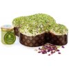Pistáciová Colomba od Evergreenu, 1kg | Evergreen di Pietro Bonaccorso
