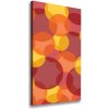 Vertikálny foto-obraz canvas na ráme Farebná kolieska 50x100 cm