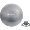 Gymnastická lopta Schildkröt Gymnastic Ball 65 cm Anthracite