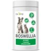 DROMY Boswellia 120 tbl.