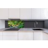 DIMEX | Dibond doska za kuchynskú linku | DBW-08040-134 Botanická záhrada| 80 x 40 cm + Dibond obkladová doska Dimex do kuchyne Botanická záhradav rozmere 80 x 40 cm + lepidlo zadarmo